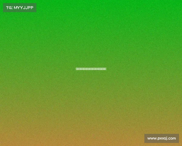 法甲联赛技战术分析与球队战术风格演变研究